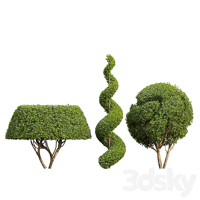 3d