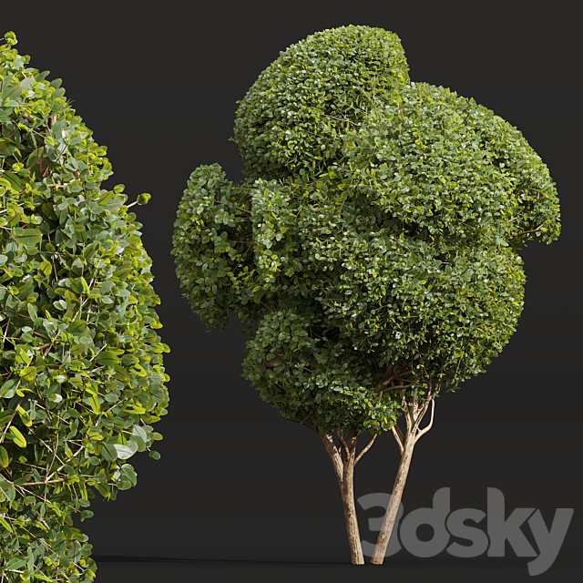 3dsky Free Download