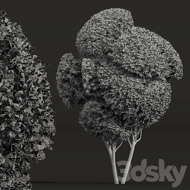 3dsky