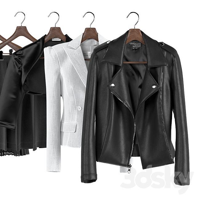 Black and white women’s wardrobe 3DS Max Model - thumbnail 5