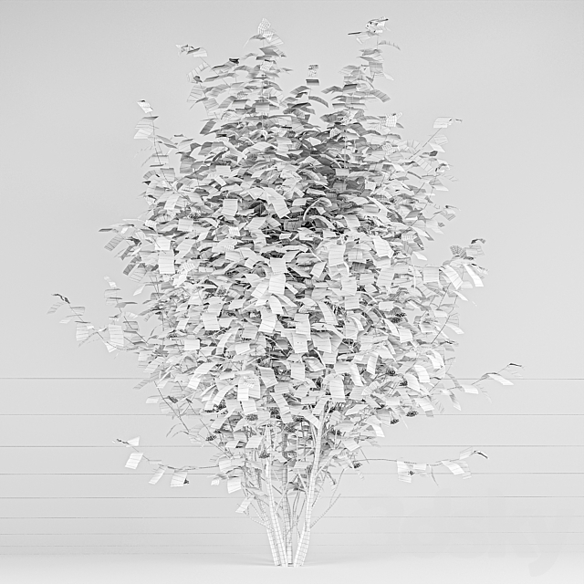 3dsky