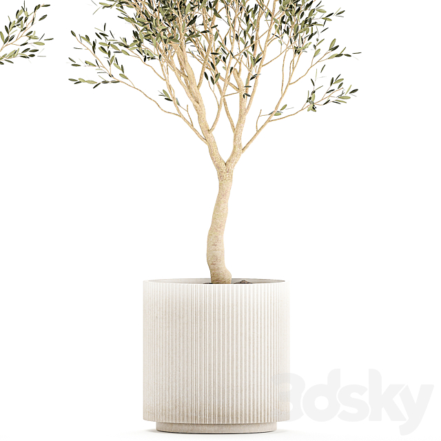 3dsky