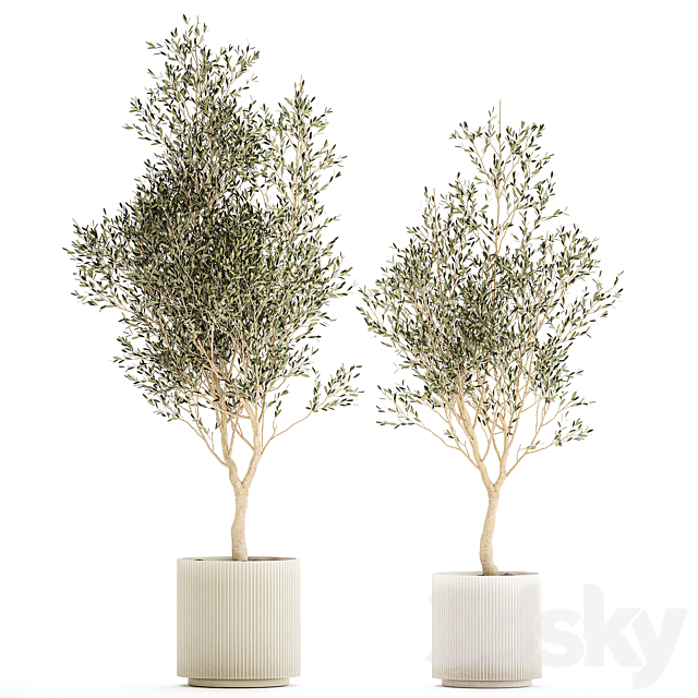 3D Model