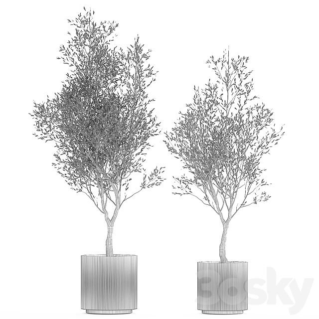 3d Download