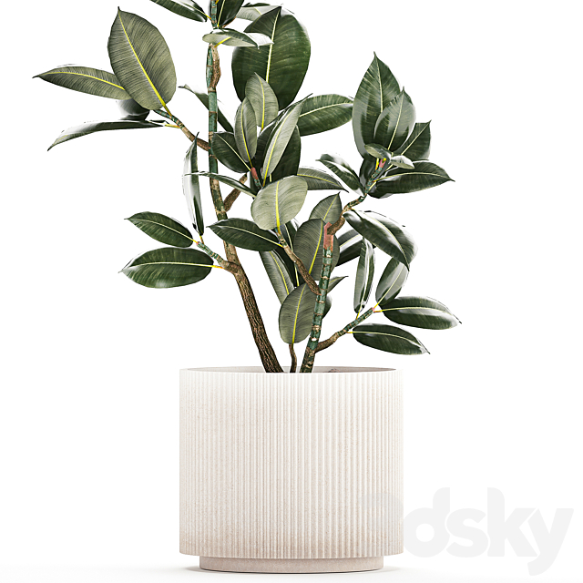 3dsky Free Download