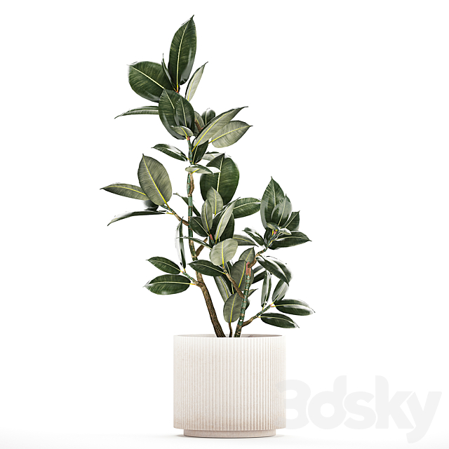3dskyfree