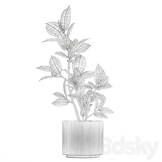 3D Model