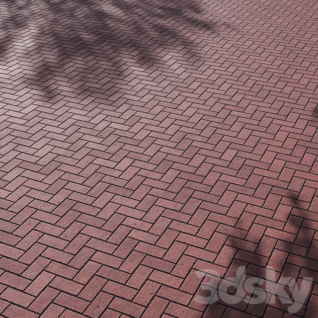 3D Model