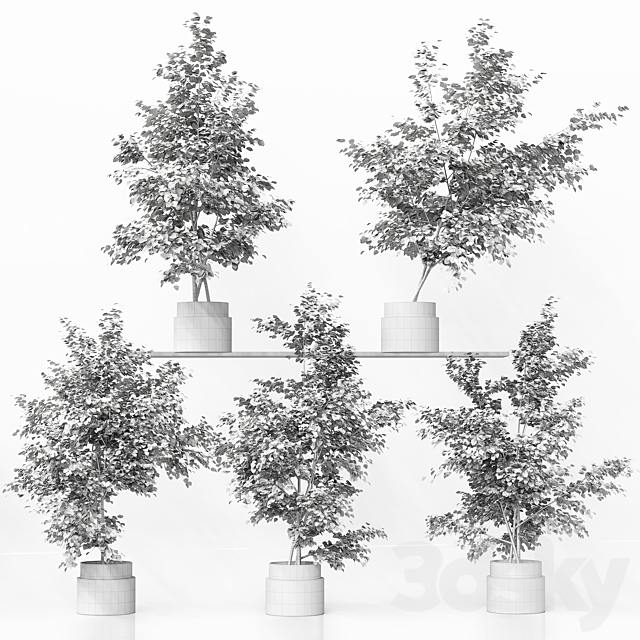 3d Download