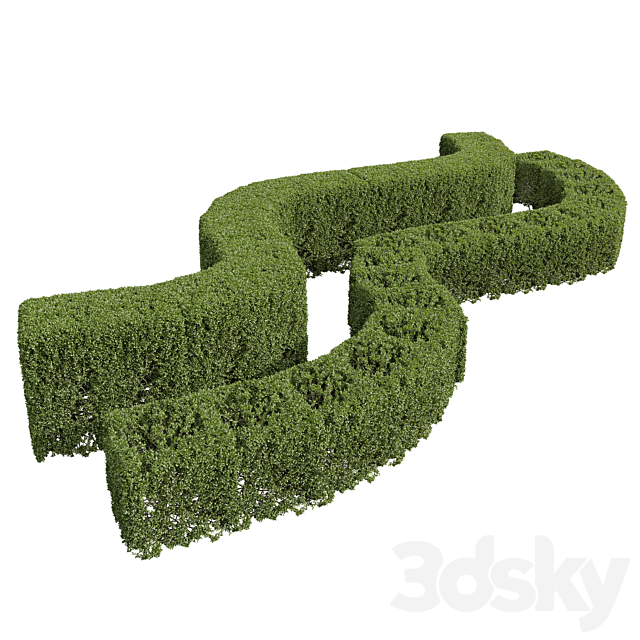 Ligustrum Quihoui Privet and Ficus Concinna Bonsai Pruned 3DS Max Model - thumbnail 3