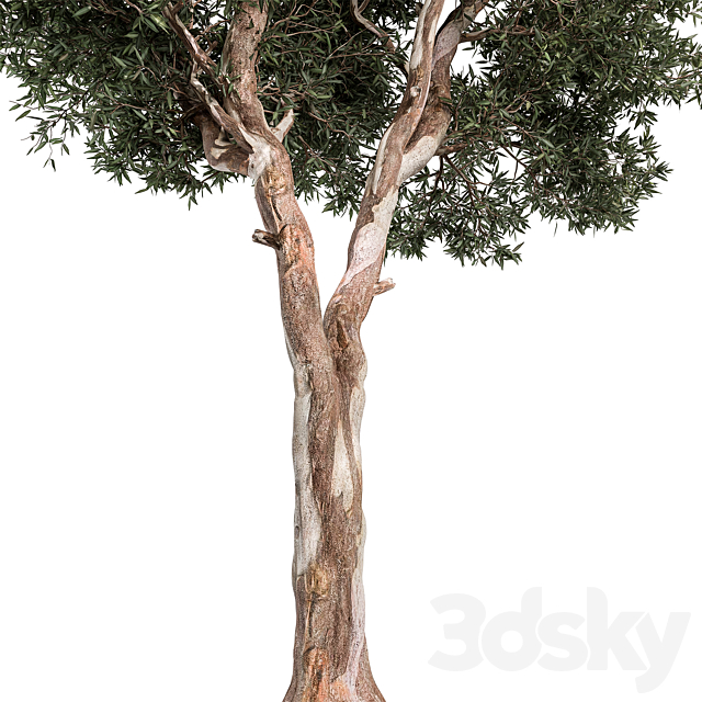 3d