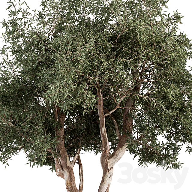 3dsky Free Download