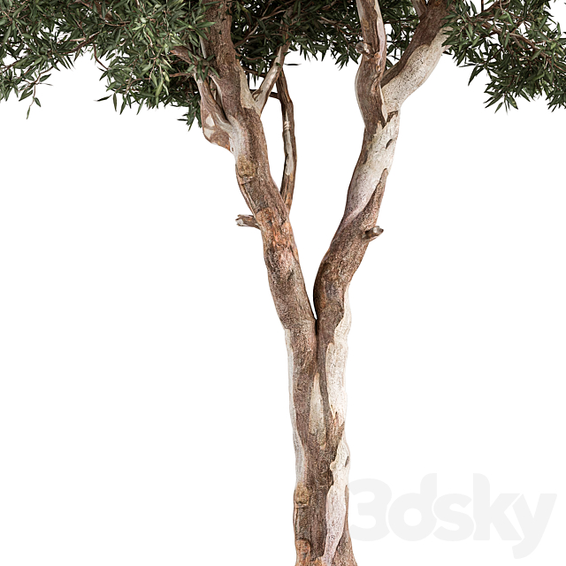3dsky