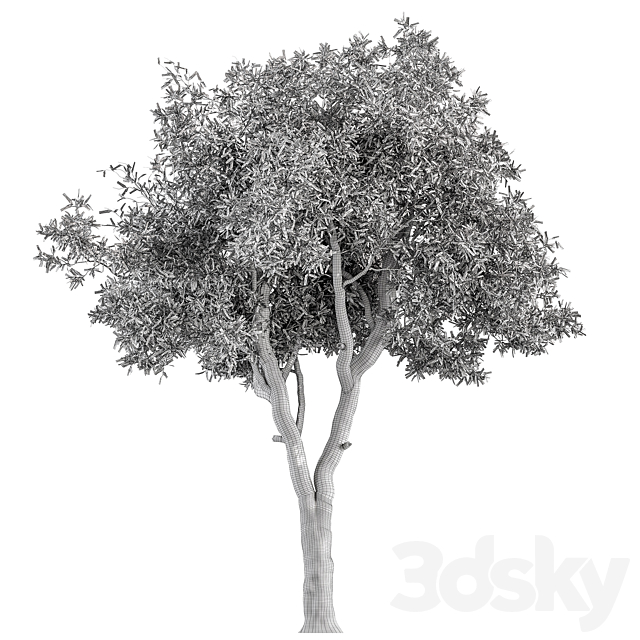 3dskyfree