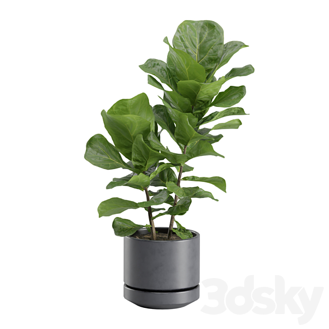 3dskyfree