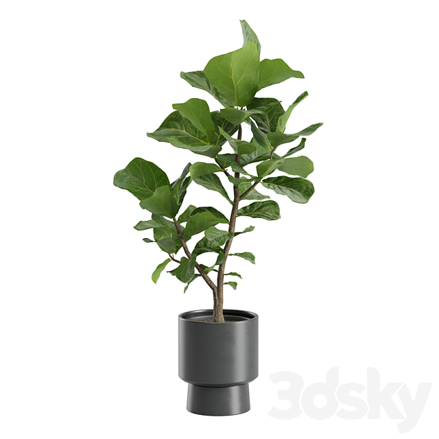 3D Model