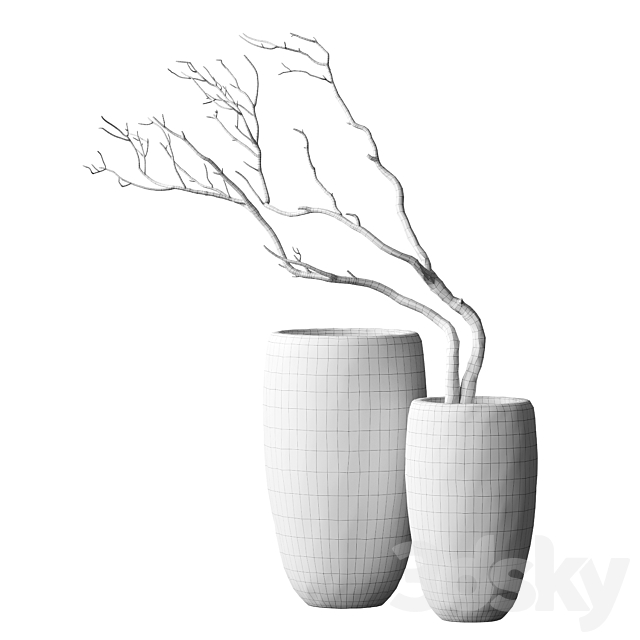 3dsky