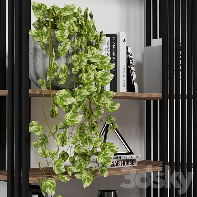 3dsky Free Download