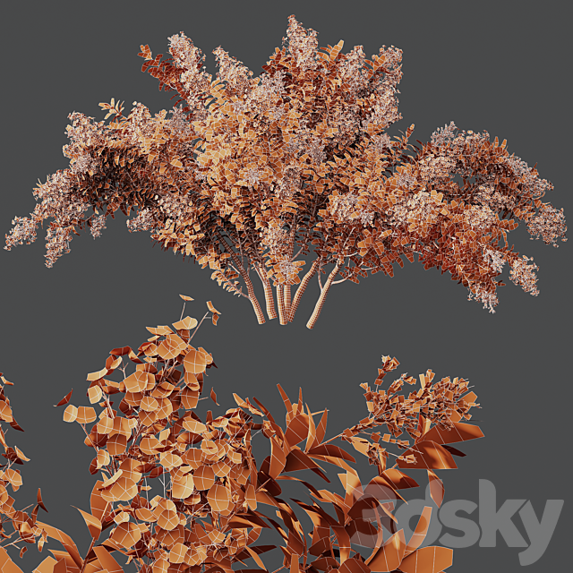 HQ Plants Myrtle White Flower little 3DS Max Model - thumbnail 4