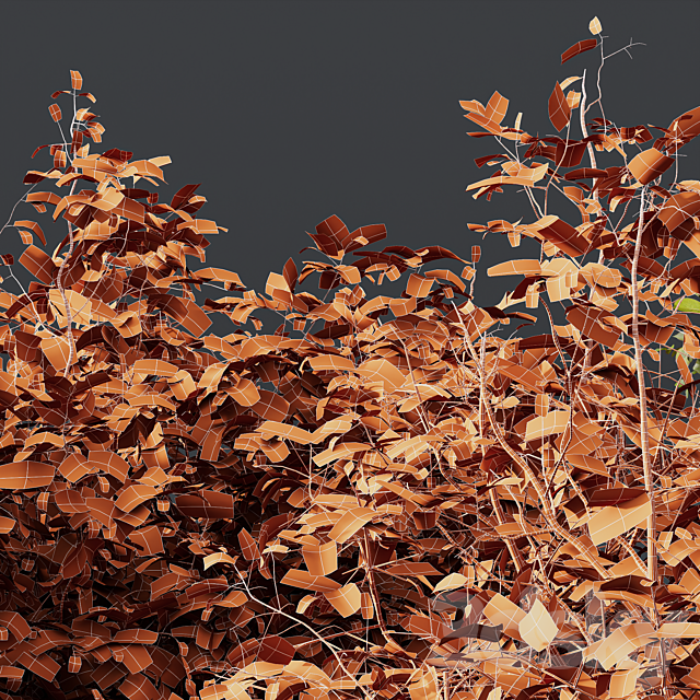 HQ Plants Cornus sanguinea 3DS Max Model - thumbnail 5