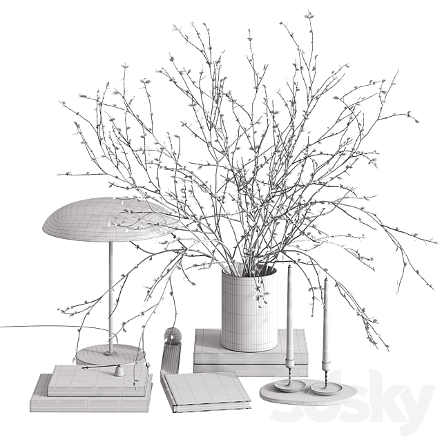 3dsky