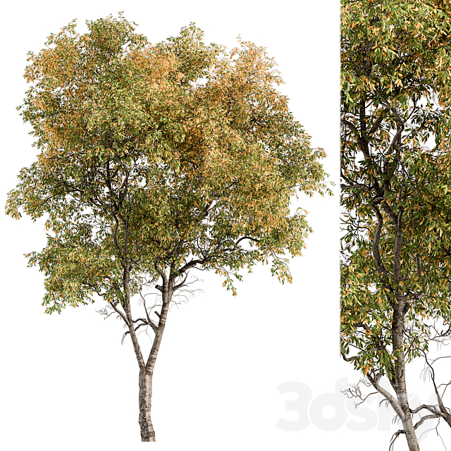3dsky Free Download
