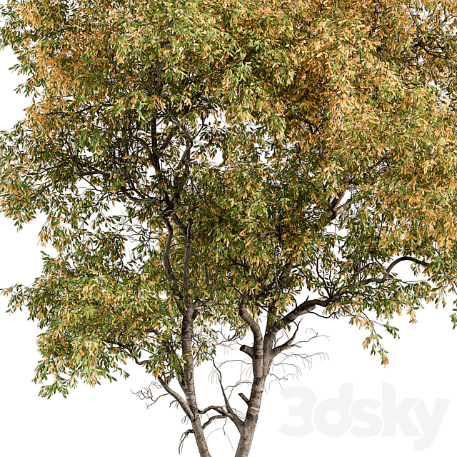 3dskyfree