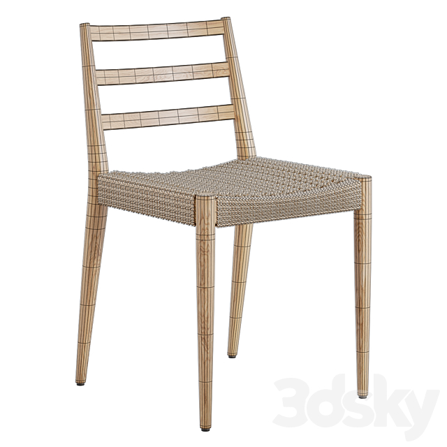 3D Model