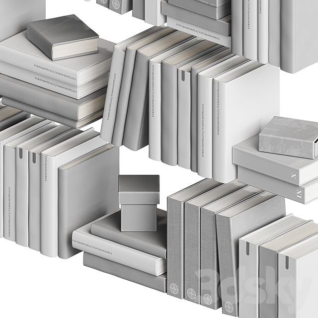 3D Model