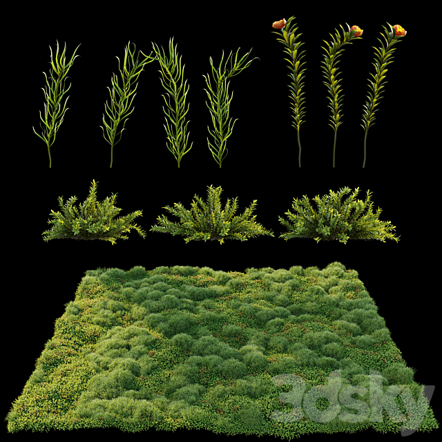 3dsky