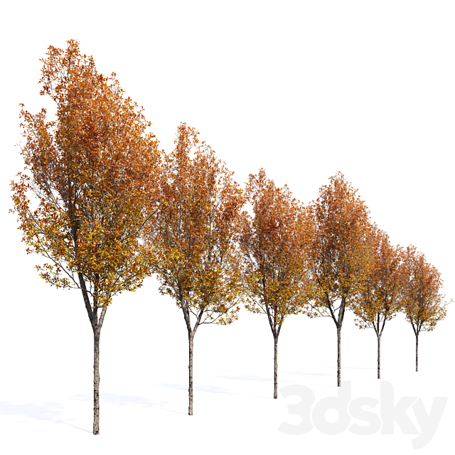 3dsky Free Download