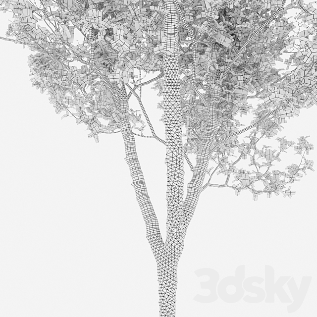 3d Download