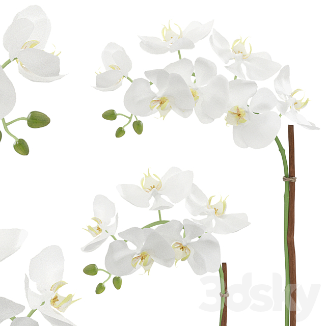 3dsky Free Download