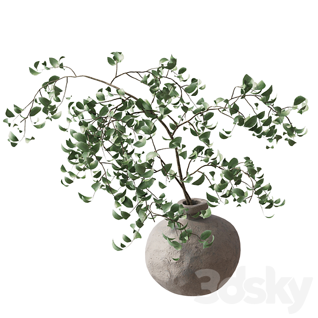 3dsky Free Download