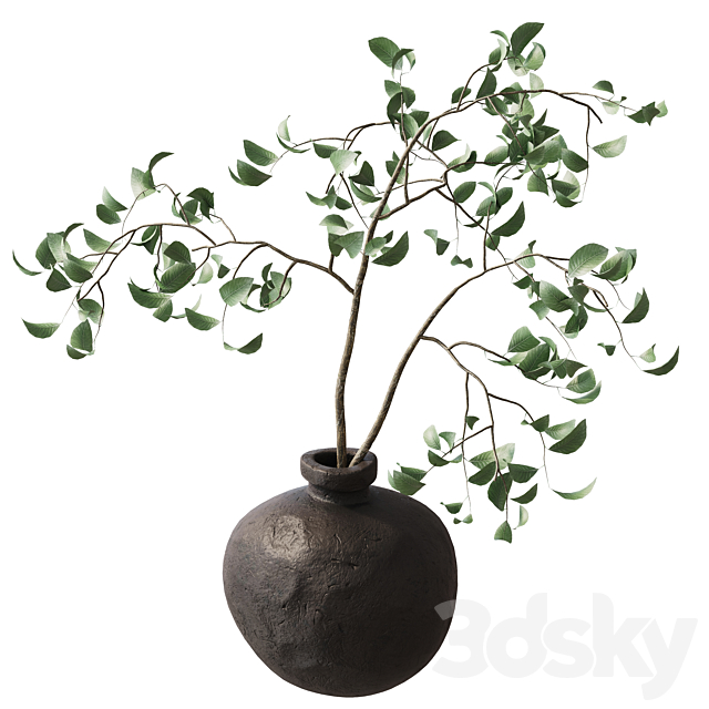 3dsky