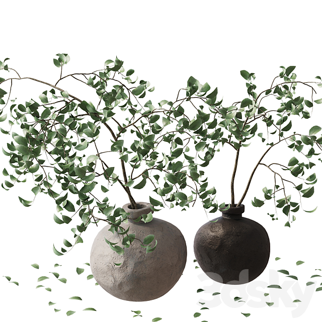 3D Model