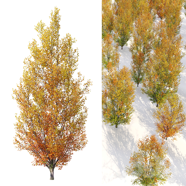 3dsky Free Download