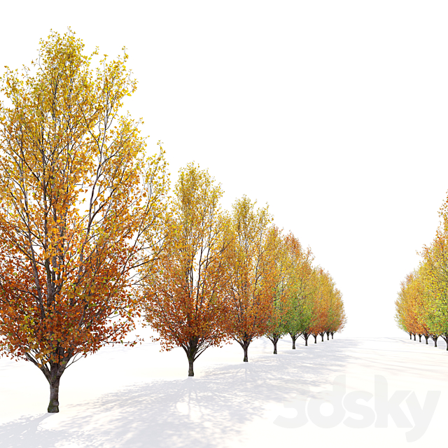 3dskyfree