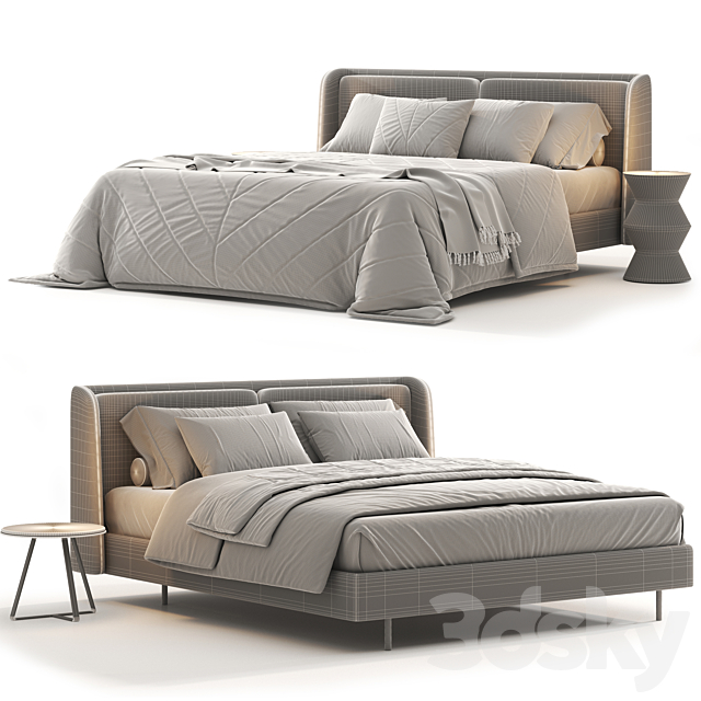3D Model