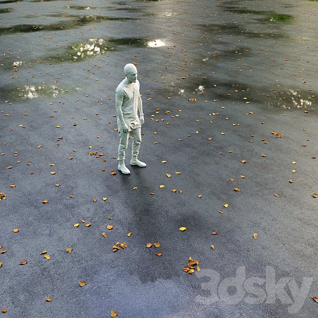 3dsky