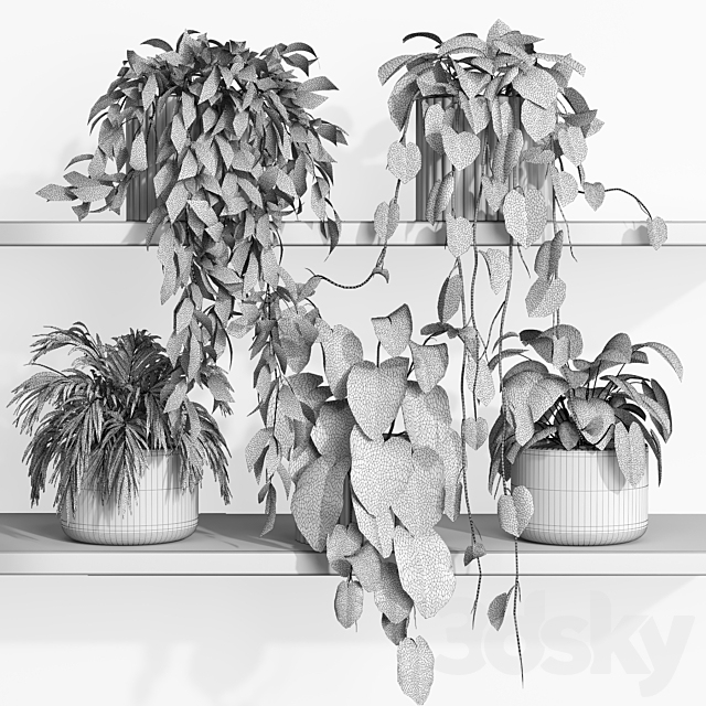 3dsky Free Download