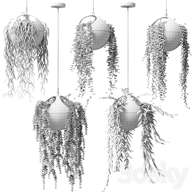 Hanging plants in flower pots | Hanged Plants in spherical hanging planters 3DSMax File - thumbnail 4