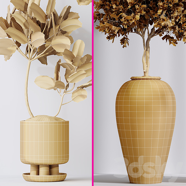 3D Model