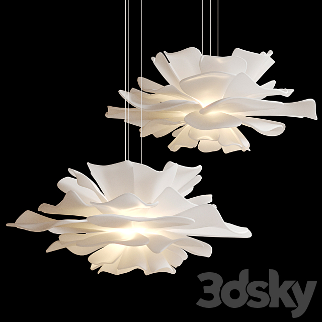 3d