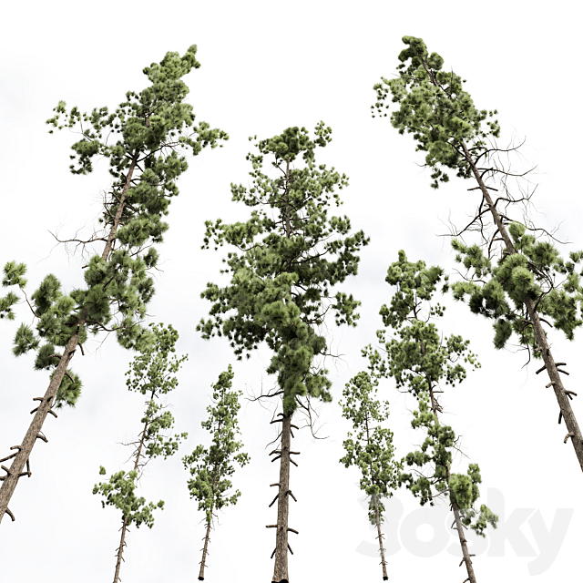 3dskyfree