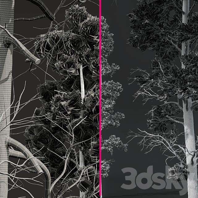 3d Download
