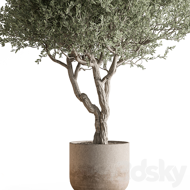 3dsky Free Download
