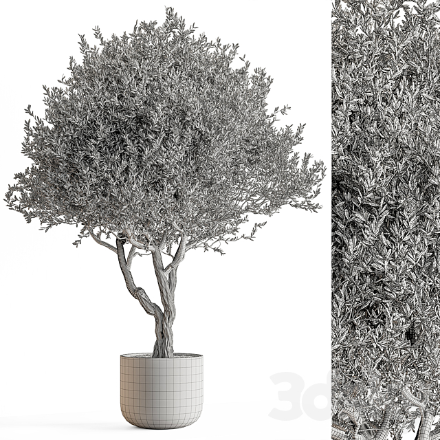 3dsky