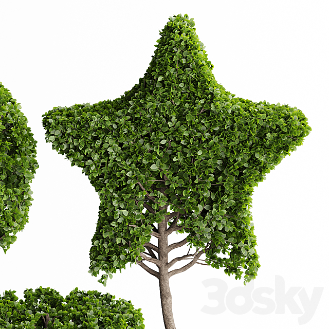 3d