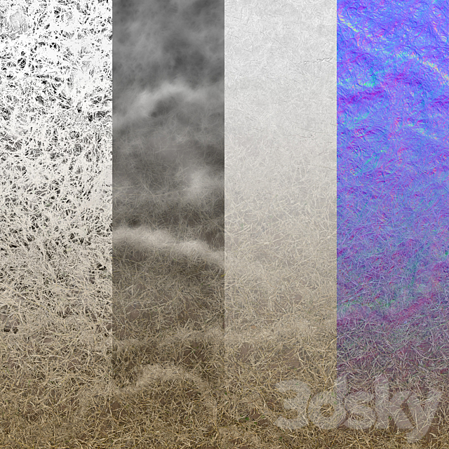 3dsky Free Download